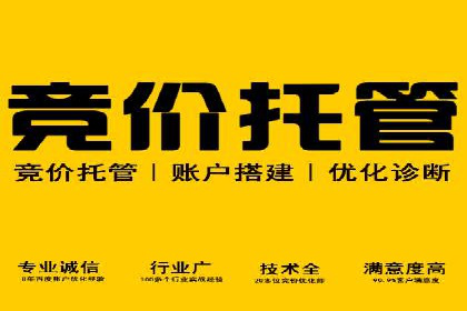SEM运营实战：案例分析广告投放策略